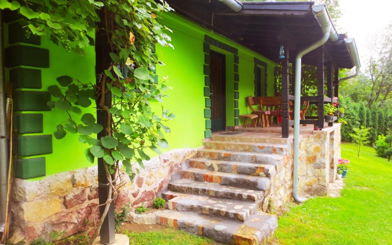 Etno-Kuca "Leka" Klisura Villa Despotovac Buitenkant foto