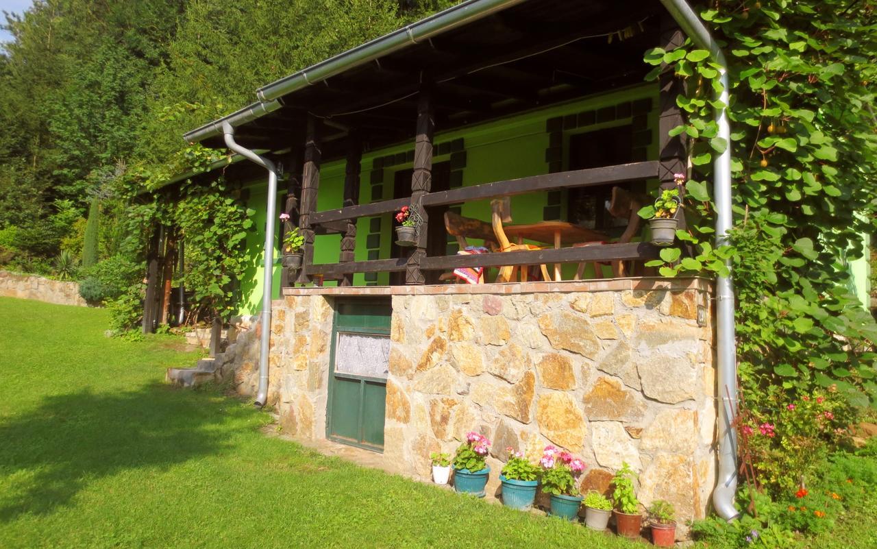Etno-Kuca "Leka" Klisura Villa Despotovac Buitenkant foto