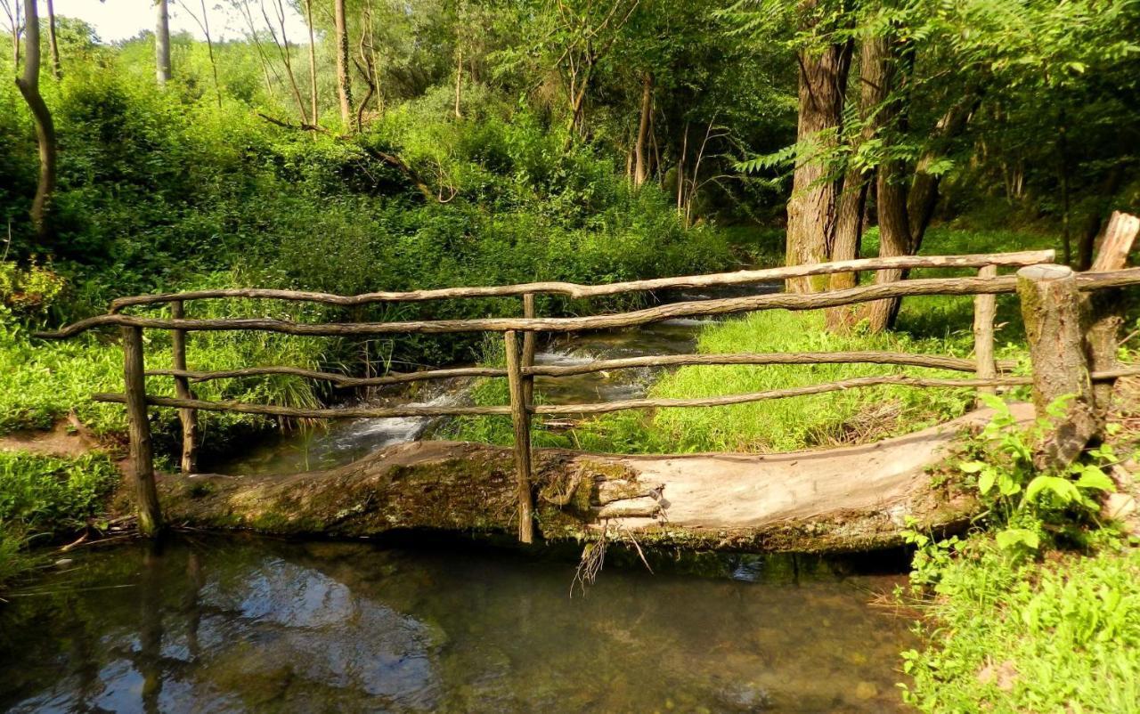 Etno-Kuca "Leka" Klisura Villa Despotovac Buitenkant foto